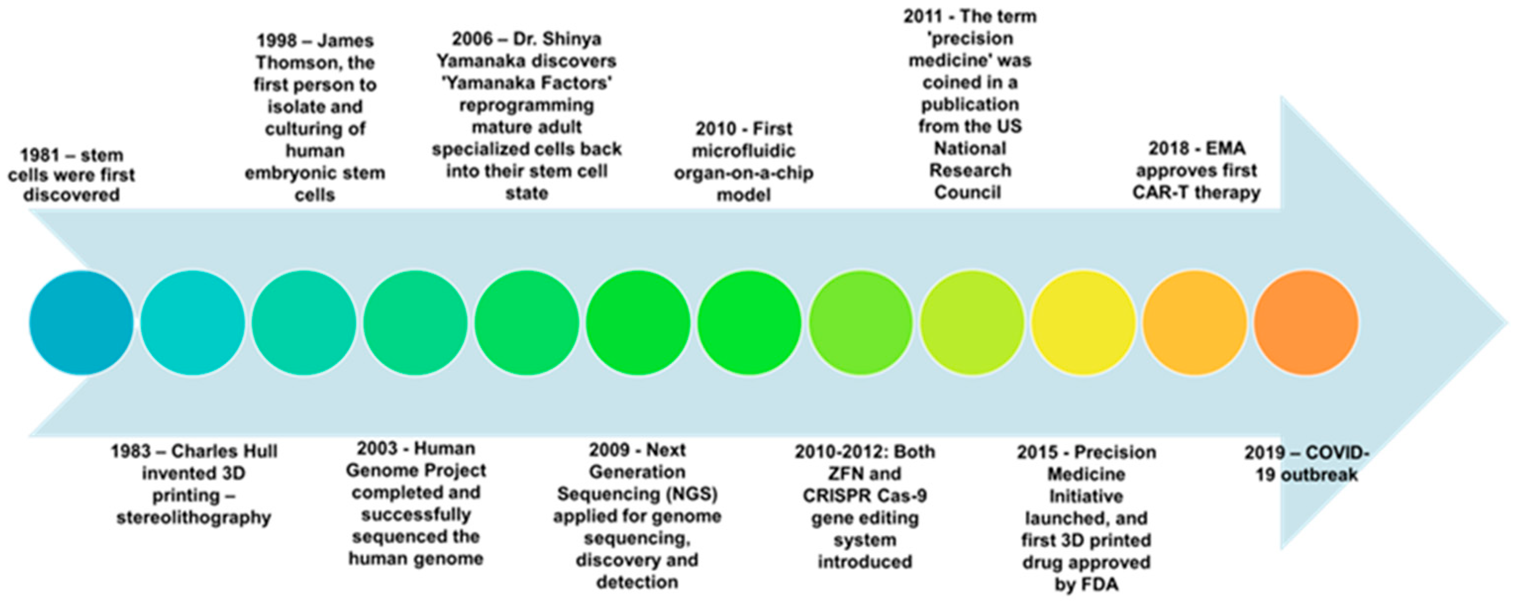 timeline
